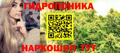 прущие крисы Жуковский